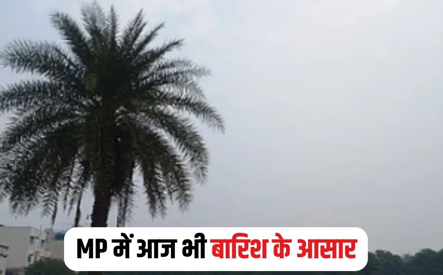 MP Weather Alert