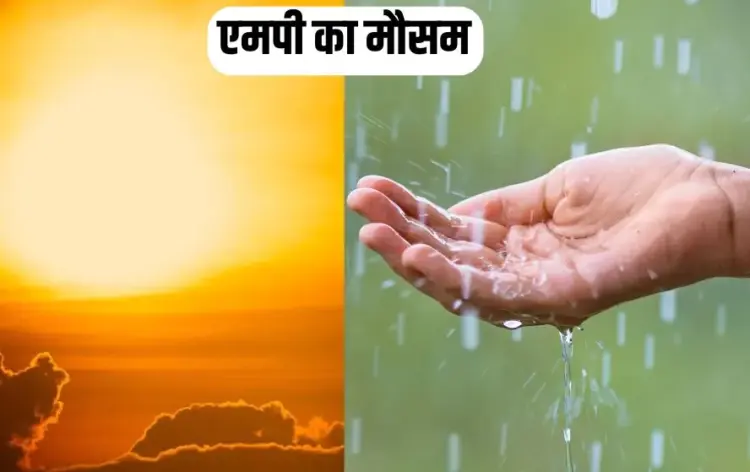 MP Weather Forecast Update