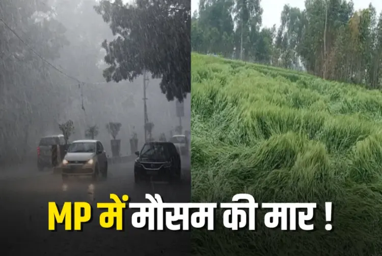 MP Weather UPDATE baarish olavrishti se fasle barbad next two days IMD Alert