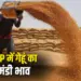 MP Wheat Mandi Price Today 28 May 2025