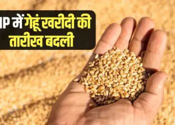 MP Wheat Purchase On MSP government Decision cm mohan yadav rkg