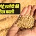 MP Wheat Purchase On MSP government Decision cm mohan yadav rkg