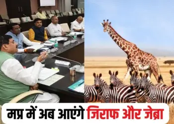 MP Wild Life Board Decisions