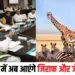 MP Wild Life Board Decisions