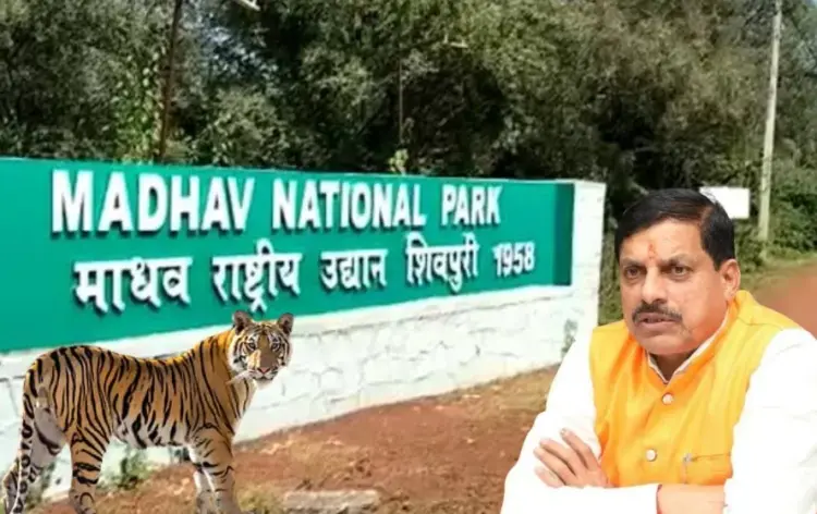 मुख्यमंत्री मोहन यादव बाघ-बाघिन को माधव टाइगर रिजर्व में छोड़ेंगे।