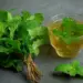 Mint Leaf Benefits