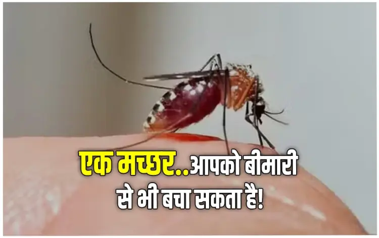 Malaria-Vaccine