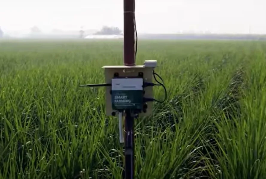 Farm of the Future Project