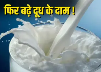 Mother Dairy Milk Price Hike 2025