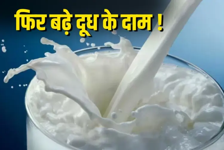 Mother Dairy Milk Price Hike 2025