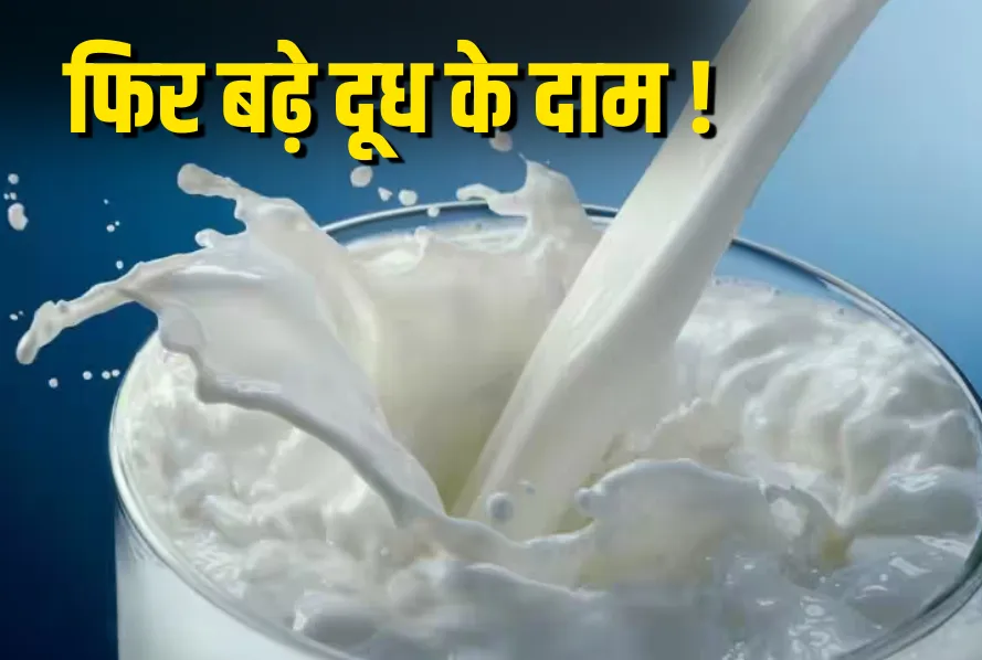 Mother Dairy Milk Price Hike 2025