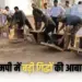 Mp State Forest Department survey vultures