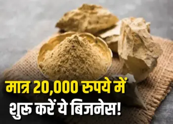 Multani Mitti Low Investment High Profit Business Idea