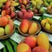 National Mango Festival