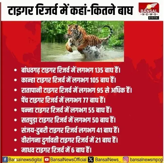 National Tiger Day