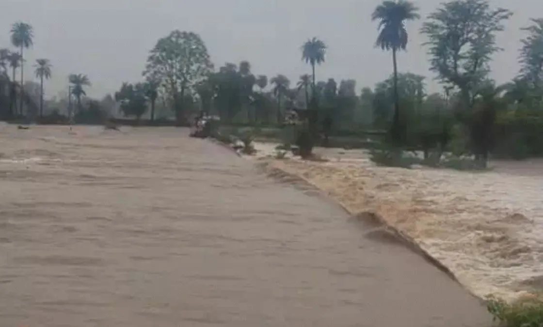 MP Heavy Rain Alert