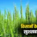 New Crop Varieties Benefit
