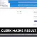 ibps clerk mains exam 2025 result