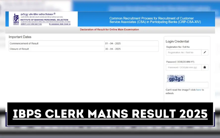 ibps clerk mains exam 2025 result