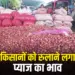 Onion Mandi Price