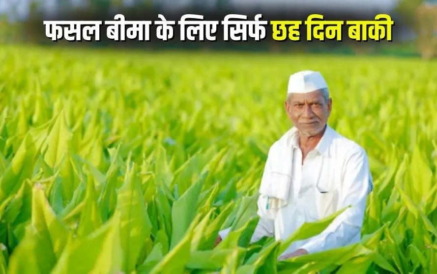 PM Fasal Bima Yojana