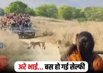 Panna Tiger Reserve