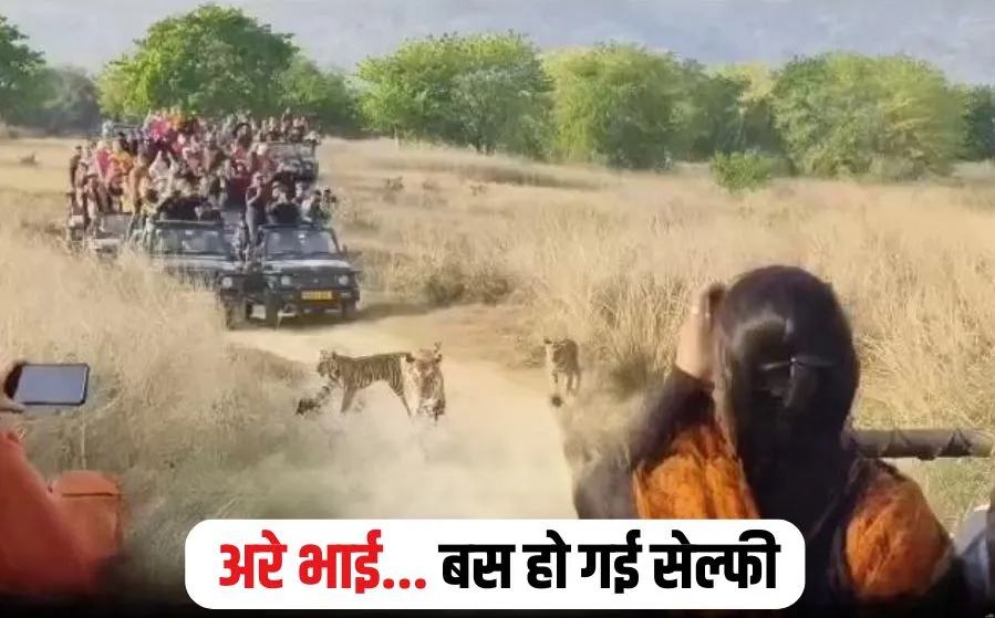 Panna Tiger Reserve