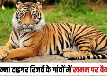 Panna Tiger Reserve