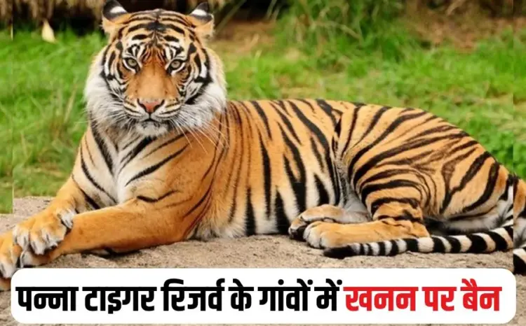 Panna Tiger Reserve