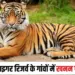 Panna Tiger Reserve