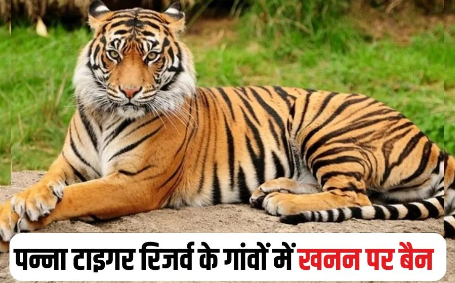 Panna Tiger Reserve