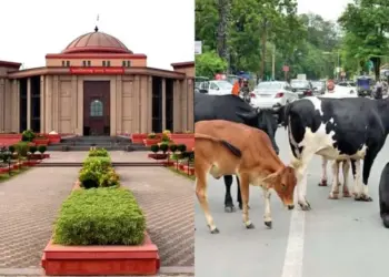 Chhattisgarh High Court