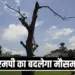 MP Weather Update (5)