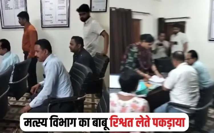 Rajgarh Bribery Case