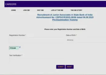 SBI Clerk Prelims Admit Card 2025 PET hall Ticket news hindi zxc
