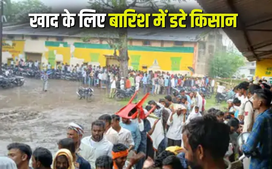 Sagar Urea Crisis