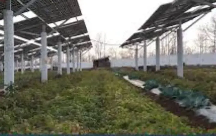 Sagar solar plant