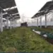 Sagar solar plant
