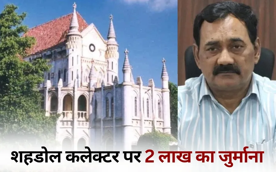 Shahdol collector fine