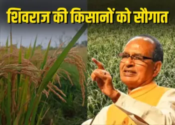 Shivraj Singh Chauhan Genome Edited Rice