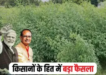 PM AASHA Yojana