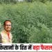 PM AASHA Yojana