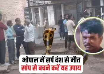 Snake Bite Death