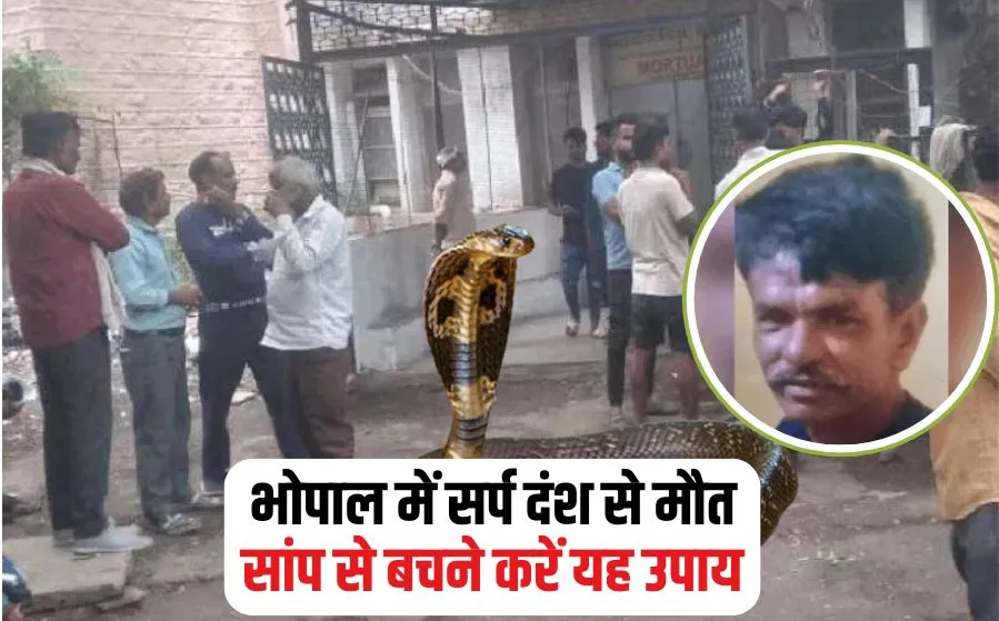 Snake Bite Death