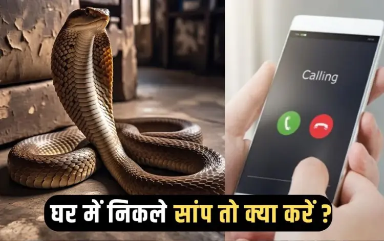 Snake Catcher Bhopal Number Monsoon 2025 (4)