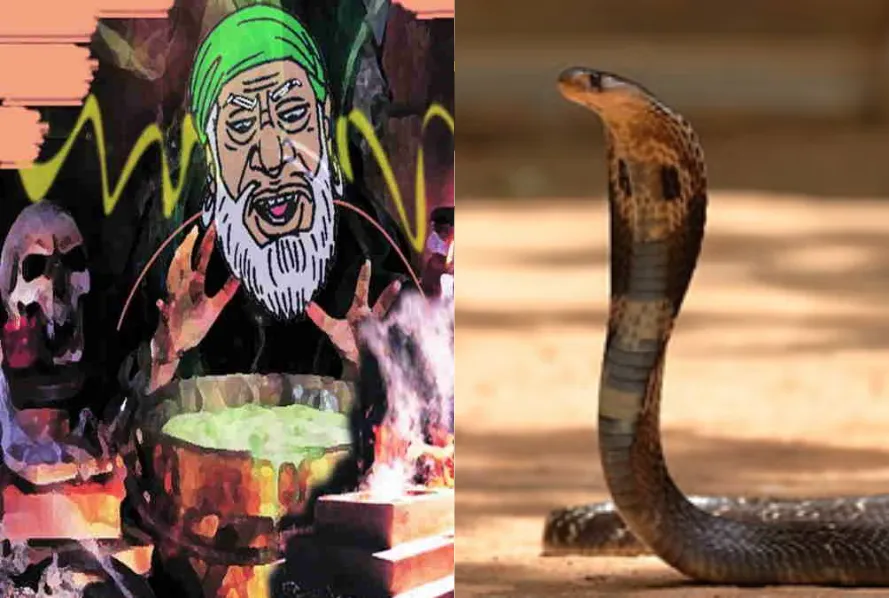 snake bite treatment