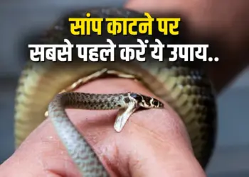 Snakebite Awareness in Monsoon Chhattisgarh