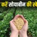 Soybean Farming