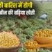 Soybean Varieties