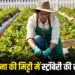Strawberry Farming Success Story